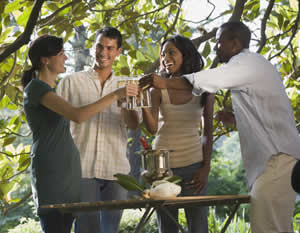 Fredericksburg Winery Tour with Live Music, & BBQ