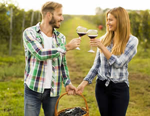 Fredericksburg Winery Tour with Live Music, & BBQ
